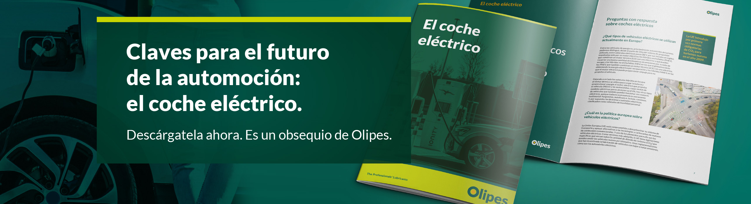 Libro blanco: El coche eléctrico 